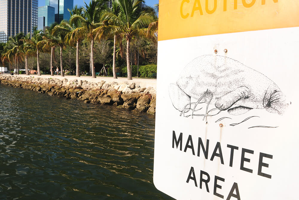 A sign reads "Caution - Manatee Area"