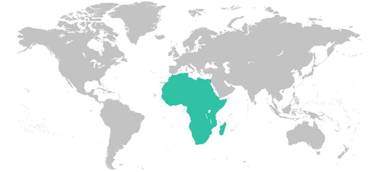Map of the African region of the world