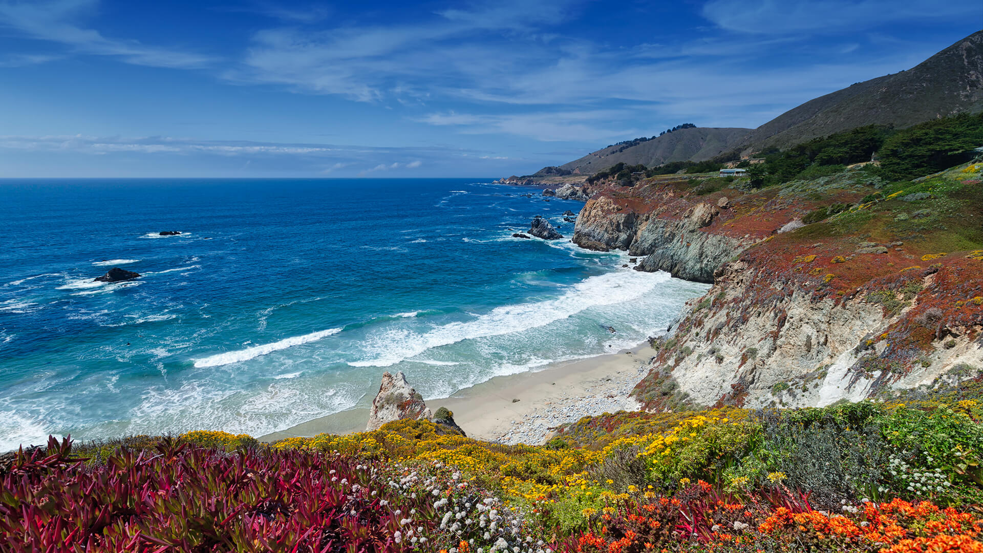 Coastal Range Animals