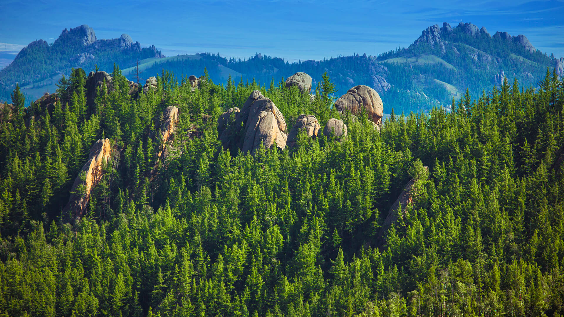 Taiga National Park, Russia