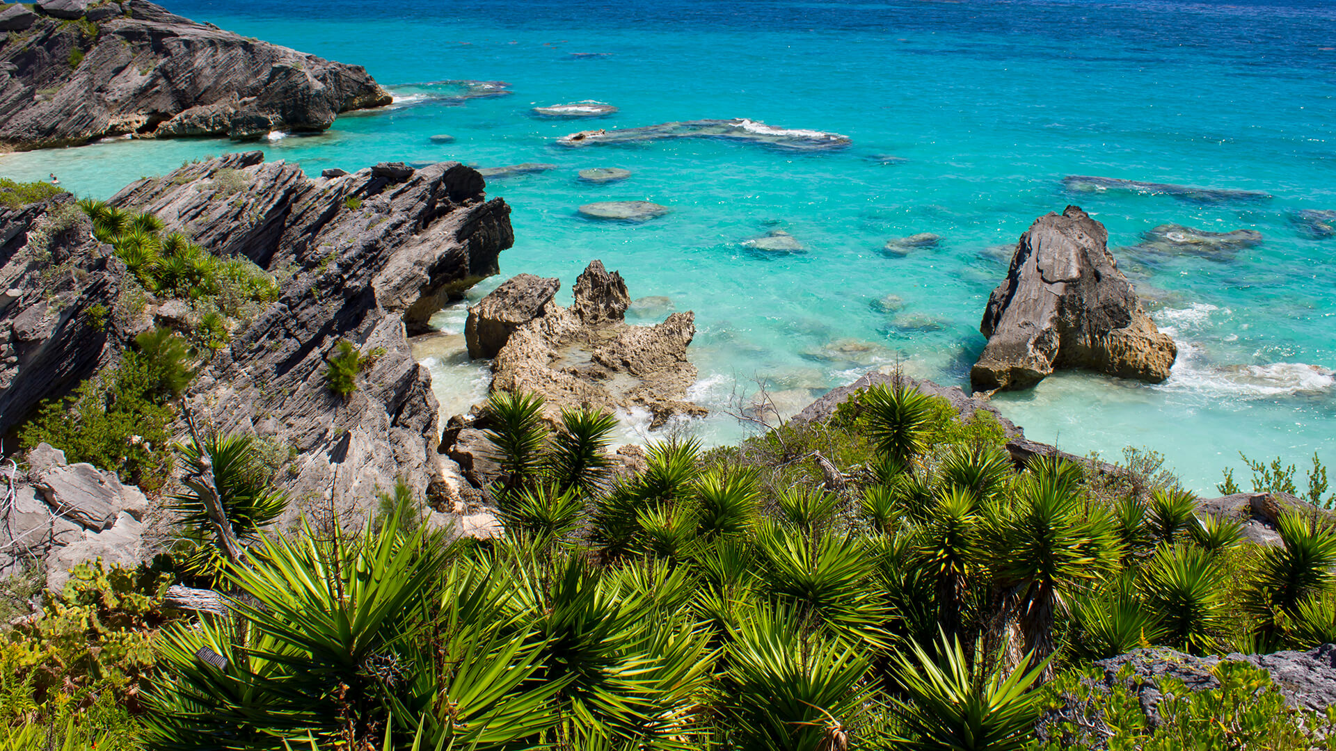 Rocky coast of Bermuda by Horseshoe Bay Beach and Wariwick Beach.