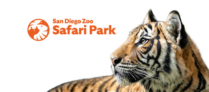 Photo of a tiger with Safari Park logo.
