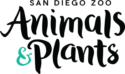 San Diego Zoo Animals Logo